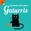 Gaturris