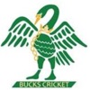Bucks Cricket artwork