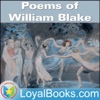 Poems of William Blake by William Blake artwork