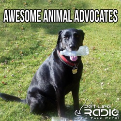 Awesome Animal Advocates - Episode 70 A Visit from Nick the Animal Advocate