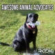 Awesome Animal Advocates - Episode 70 A Visit from Nick the Animal Advocate