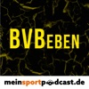 BVBeben artwork
