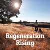 Regeneration Rising artwork