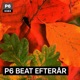 P6 BEAT efterår: Opsamlingspodcast