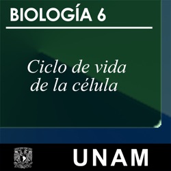 Biología 6.2 Ciclo celular