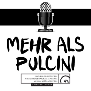 Lupi e media