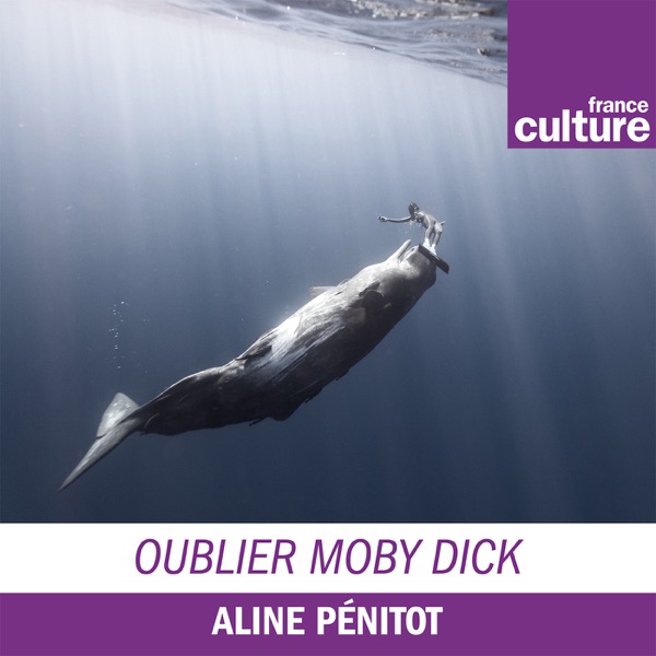 Oublier Moby Dick