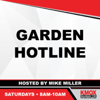 Mike Miller