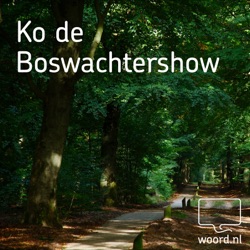 Ko de Boswachtershow - 29/09/1974