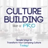 Culture Building like a PRO artwork