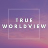 True Worldview artwork