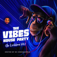 DJ CONSEQUENCE MIXES