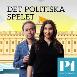 455: Erdogans makt över svenska politiker