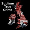 Sublime True Crime artwork