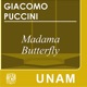 Madama Butterfly