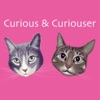 Curious and Curiouser Podcast artwork