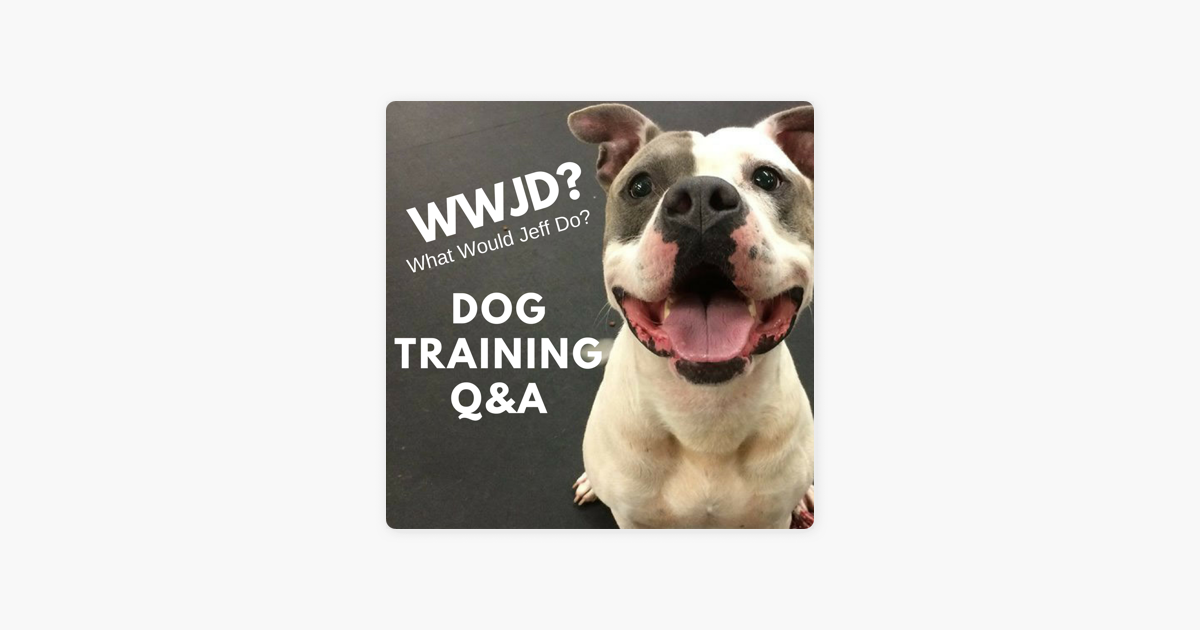 Dog Training Q&A What Would Jeff Do? on Apple Podcasts