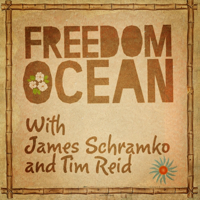 Freedom Ocean Profitable Internet Marketing Business Podcast podcast