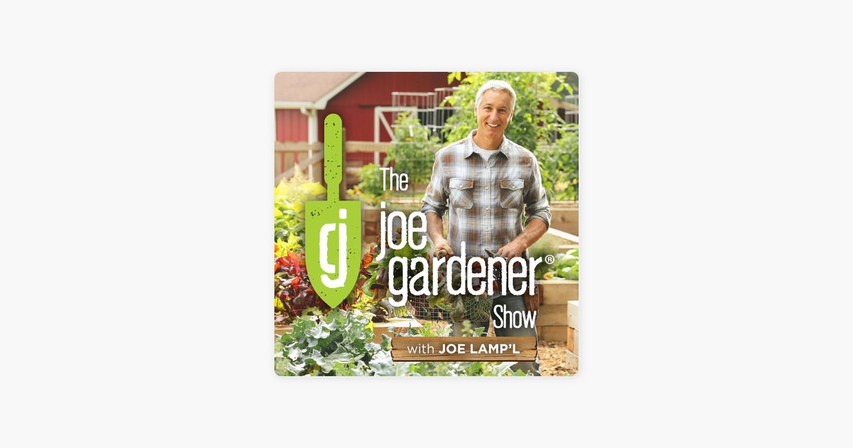 The Joe Gardener Show Organic Gardening Vegetable Gardening Expert Garden Advice From Joe Lamp L On Apple Podcasts