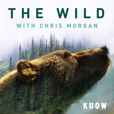 The Wild The Wild