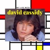 My Life with David Cassidy artwork