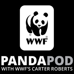 The Panda Pod