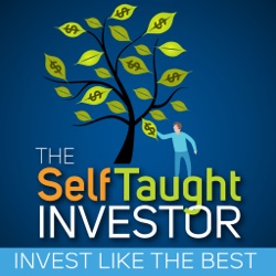 The Self Taught Investor