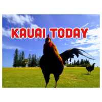 Kauai Today podcast