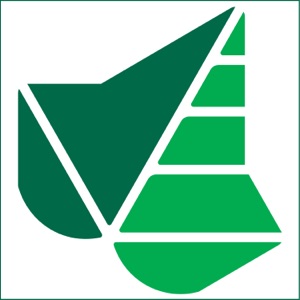 2020: The Ivy Global Outlook