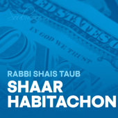 Shaar HaBitachon- SoulWords - Rabbi Shais Taub