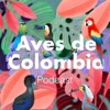 Aves de Colombia - PODWAY