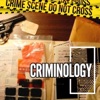 Criminology artwork