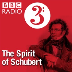 Schubert's Vienna: 17 Syphilis