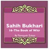 Sahih Bukhari The Book Of Witr artwork