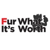 Fur What It's Worth artwork