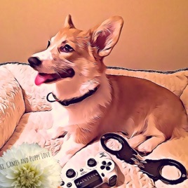 Corgi Porn - Sex, Games & Puppy Love: Gamescom, Gaming fatigue and Porn ...