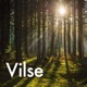 Vilse