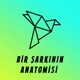 Bir Şarkının Anatomisi