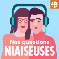 Nos questions niaiseuses podcast