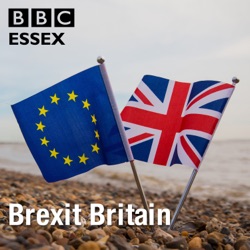 Episode 1:  Waiting for Brexit