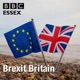 Episode 6: Young people aren't all Remainers...
