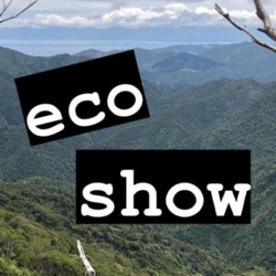 eco show