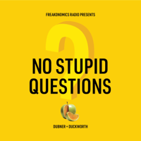 No Stupid Questions podcast