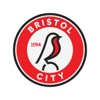 Bristol City artwork