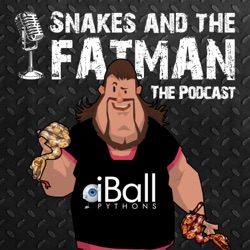 SATFM Episode 113 - Jeff Byers of Wilbanks Captive Bred Reptiles