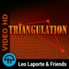 Triangulation (Video) artwork