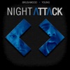 Night Attack Video Feed artwork