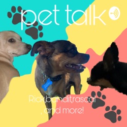 Pet talk