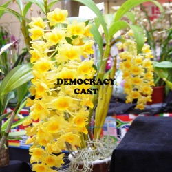 Democracycast