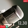 Die Radio Steiermark-Journale artwork